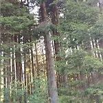 Alpstuga Chaletbijoux