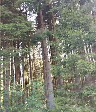 Σαλέ Chaletbijoux