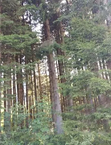 Alpstuga Chaletbijoux